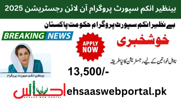 Benazir Income Support Program image
