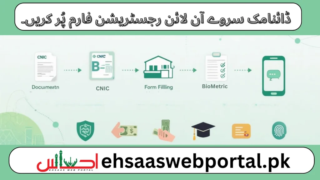 BISP Dynamic Survey online registration form image