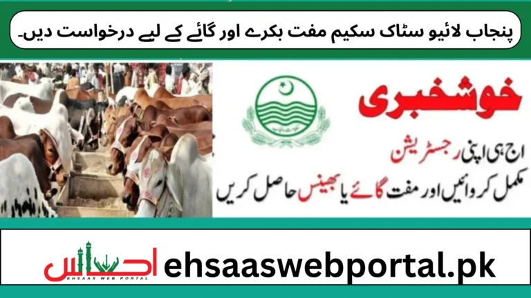 Punjab Livestock Scheme image