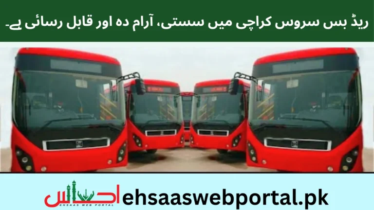 Red Bus Karachi image