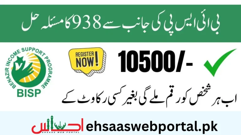 Ehsaas 10500 Payments image